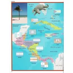 Napraforgó Könyvek Könyv Képes Atlasz Gyermekeknek A Világ Zászlói Matricákkal