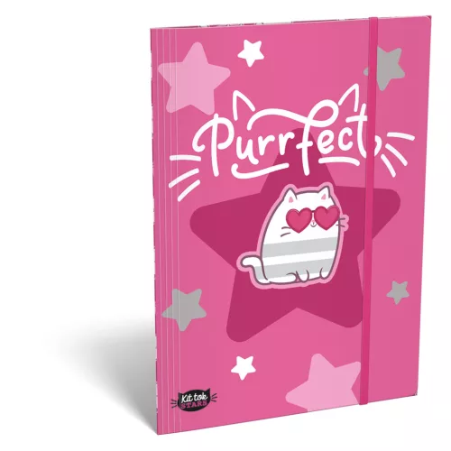 LizzySuli Gumis Mappa A/5 Karton Kittok Start Purrfect