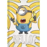 Füzet A/5 Keményfedeles Vonalas 96 Lap Minions Vegyes Mintákban