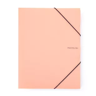 Pastelini Gumis Mappa A/4 Barack 2-658