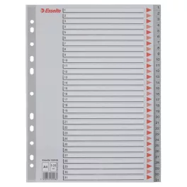 Esselte Regiszter Műanyag A/4 1-31 E100108