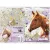Lizzy Card Füzetborító Képes A/5 Wild Beauty Brown