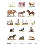 Munkalap A Ház Körül Élő Állatok