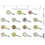 Munkalap A Köztünk És Velünk Élő Állatok