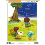 Munkalap Csillagászat Tájékozódás