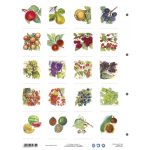 Munkalap Gyümölcsök