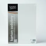 Prémium Meghívó Papír A/4 230 gramm 20 Ív Canvas Fehér Tintasugaras Nyomtatóhoz