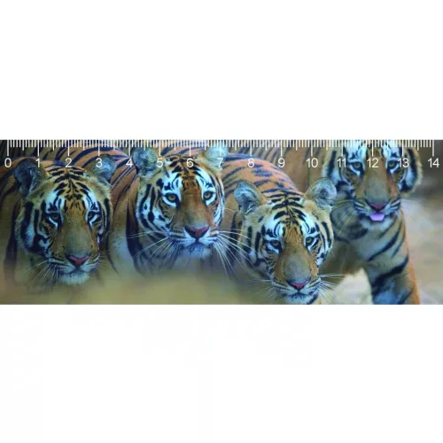 Mapcards 3D Vonalzó 148x55 mm Bengáli Tigris