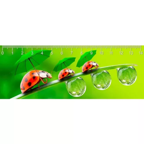 Mapcards 3D Vonalzó 148x55 mm Esős Nap