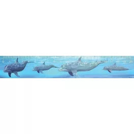 Mapcards 3D Vonalzó 210x35 mm Palackorrú Delfin