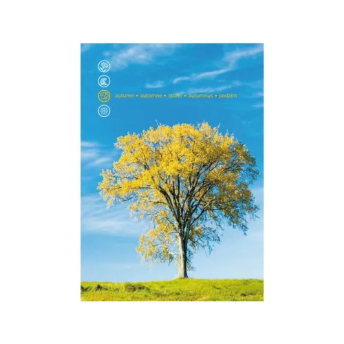 Mapcards 3D Képeslap A/6 Álló Fa