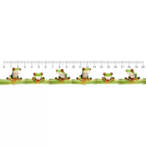 Mapcards 3D Vonalzó 210x35 mm Béka