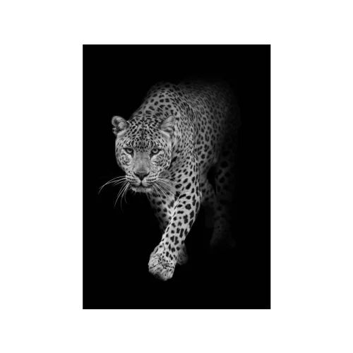 Mapcards 3D Képeslap A/6 Álló Leopard B&W