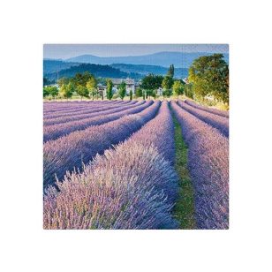 MFP Szalvéta 33x33 cm 3 Rétegű 20 lap/Csomag Levendula