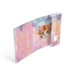 MFP Füzetbox A/4 4,5 cm Cica