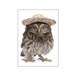 Mapcards 3D Képeslap A/6 Álló Bagoly Kalappal