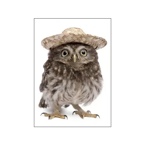 Mapcards 3D Képeslap A/6 Álló Bagoly Kalappal