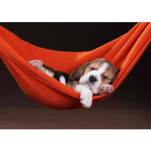 Mapcards 3D Képeslap A/6 Fekvő Good Sleeper