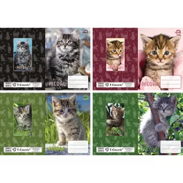 T-Creativ Füzetborító Betétes A/5 Kitten