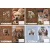 T-Creativ Füzetborító Betétes A/5 Puppies