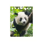 Mapcards 3D Jegyzettömb A/7 Spirálos Panda