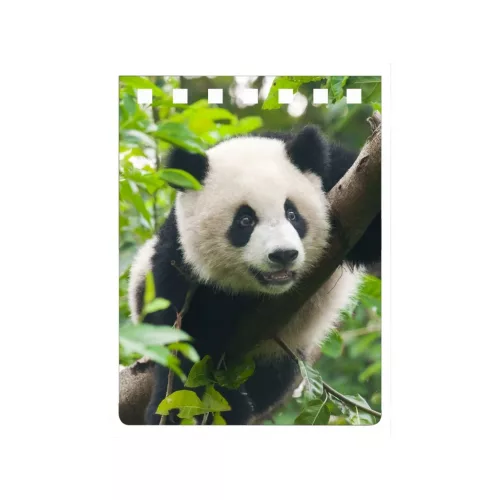 Mapcards 3D Jegyzettömb A/7 Spirálos Panda