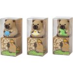 Centrum Hegyező Egylyukú Capybara Vegyes Mintákban