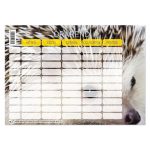 PD Órarend 165x117 mm Állatos