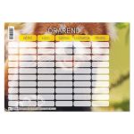 PD Órarend 165x117 mm Állatos