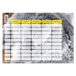 PD Órarend 165x117 mm Állatos