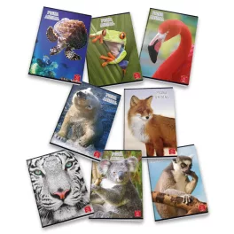   Pigna Füzet Tűzött A/5 27-42 Négyzetrácsos Animal Vegyes Mintákban