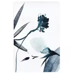 Clairfontaine Notesz 11x17 cm 32 Lapos Vonalas Varrott Inkebana Vegyes Minta