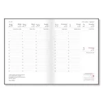 PD Tanári Zsebkönyv 2026-2027 Cats