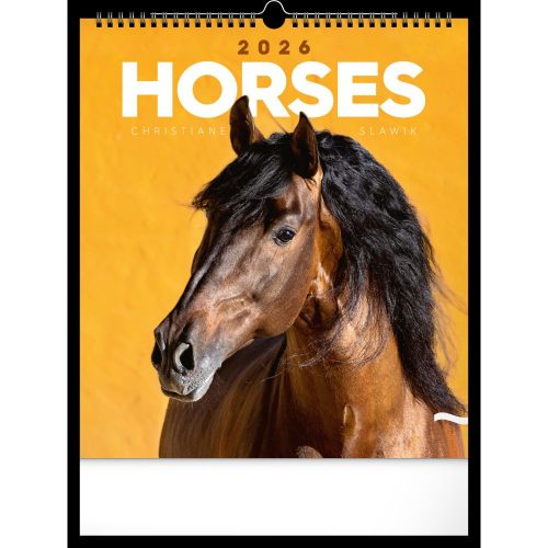 Realsystem Falinaptár 30x34 cm Lovak 2026