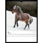 Realsystem Falinaptár 30x34 cm Lovak 2026