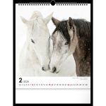 Realsystem Falinaptár 30x34 cm Lovak 2026