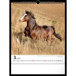 Realsystem Falinaptár 30x34 cm Lovak 2026