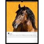 Realsystem Falinaptár 30x34 cm Lovak 2026