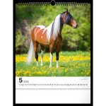 Realsystem Falinaptár 30x34 cm Lovak 2026