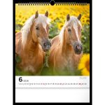 Realsystem Falinaptár 30x34 cm Lovak 2026