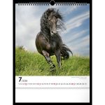 Realsystem Falinaptár 30x34 cm Lovak 2026