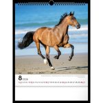 Realsystem Falinaptár 30x34 cm Lovak 2026