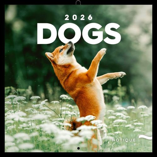 Realsystem Lemeznaptár 16 Hónapos Kutyák 2026