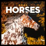 Realsystem Lemeznaptár 16 Hónapos Lovak-Christiane Slawik 2026