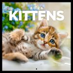 Realsystem Lemeznaptár 16 Hónapos Kiscicák 2026