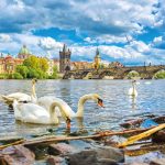 Realsystem Lemeznaptár 16 Hónapos Prága 2026