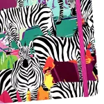 Spoko Notesz A/5 96 Lapos Vonalas Zebra