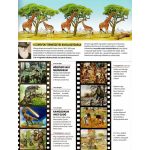 Napraforgó Az emberiség története - A kezdetek