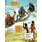 Napraforgó Az emberiség története - A kezdetek