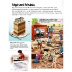 Napraforgó Az emberiség története - A kezdetek